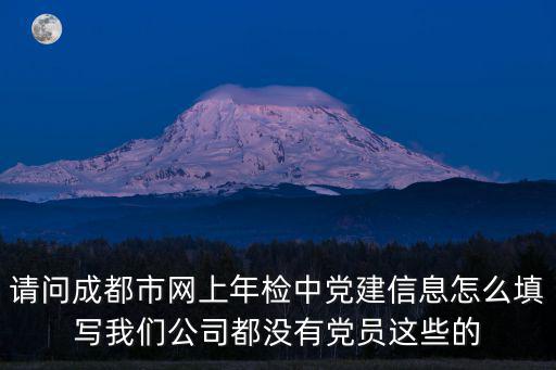 請問成都市網上年檢中黨建信息怎么填寫我們公司都沒有黨員這些的