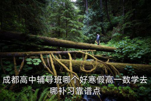 成都高中輔導班哪個好寒假高一數學去哪補習靠譜點