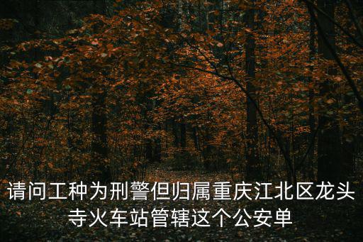 請問工種為刑警但歸屬重慶江北區龍頭寺火車站管轄這個公安單