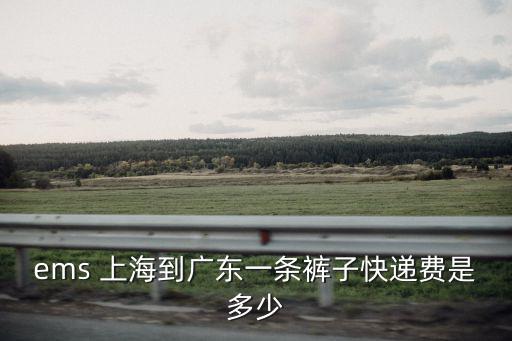 ems 上海到廣東一條褲子快遞費是多少