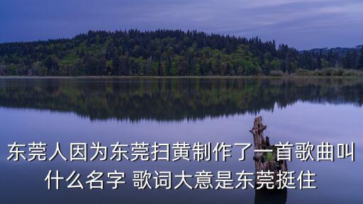 東莞掃S歪歌，東莞人因為東莞掃黃制作了一首歌曲叫什么名字 歌詞大意是東莞挺住