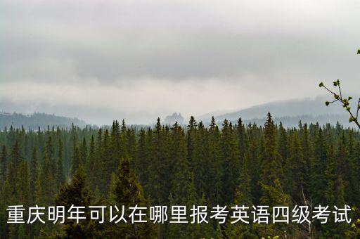 重慶明年可以在哪里報考英語四級考試