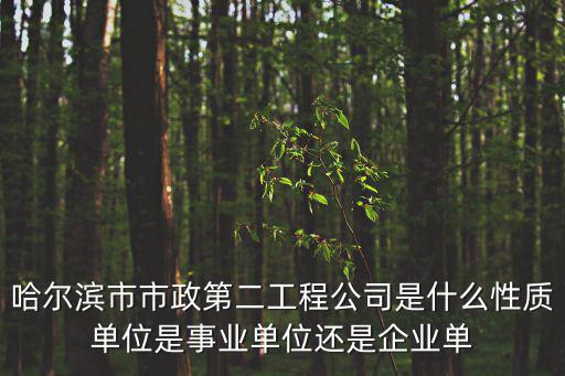 哈爾濱市市政第二工程公司是什么性質單位是事業單位還是企業單