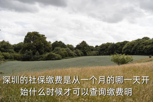 深圳的社保繳費是從一個月的哪一天開始什么時候才可以查詢繳費明