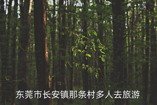 東莞市長安鎮那條村多人去旅游