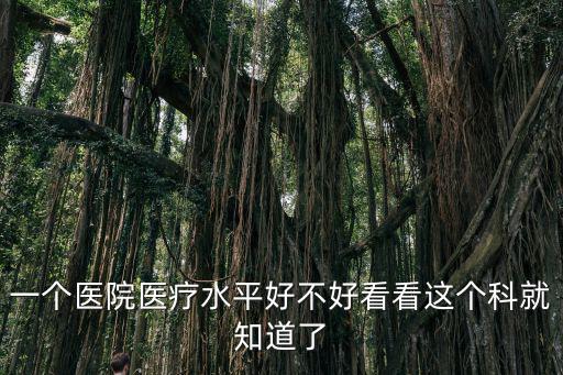 一個醫院醫療水平好不好看看這個科就知道了