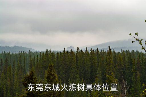 東莞東城火煉樹具體位置
