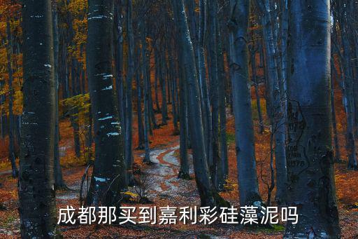 成都那買到嘉利彩硅藻泥嗎
