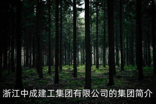 浙江中成建工集團有限公司的集團簡介