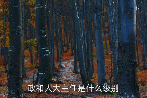 天津市市人大主任是什么級別，省人大 辦公室主任是什么級別