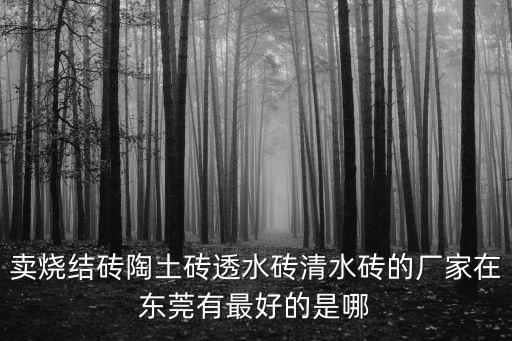 賣燒結磚陶土磚透水磚清水磚的廠家在東莞有最好的是哪