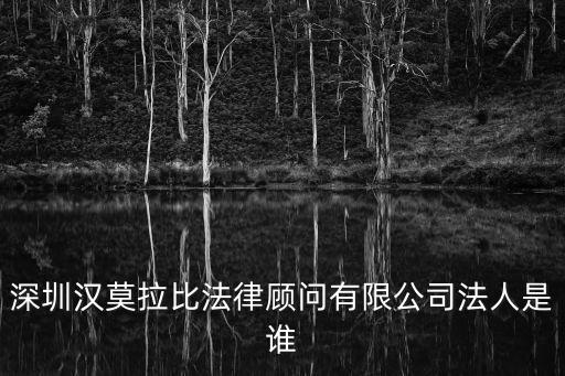 深圳 法務 企業，深圳漢莫拉比法律顧問有限公司法人是誰