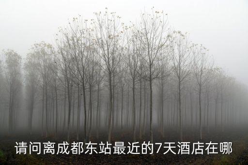成都市天仁大酒店距成都東站，請問離成都東站最近的7天酒店在哪