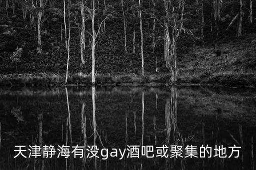 天津市同性男，天津哪的GAY最多