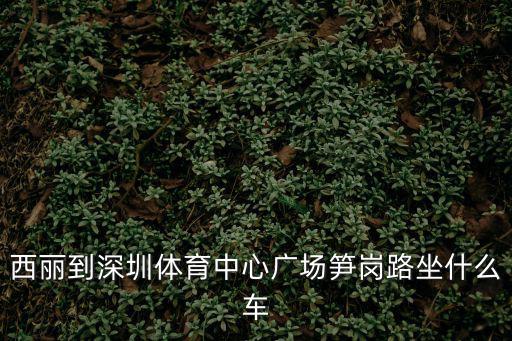 西麗到深圳灣體育館，西麗醫(yī)院東打車到深圳體育館要多少錢