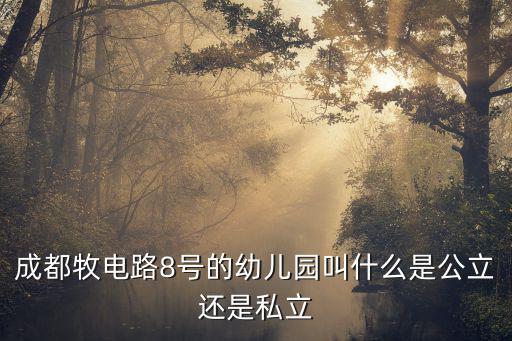 成都市第十六幼兒園辦園性質(zhì)，成都航空港片區(qū)幼兒園