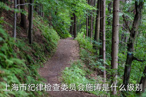 上海市紀律檢查委員會施濤是什么級別