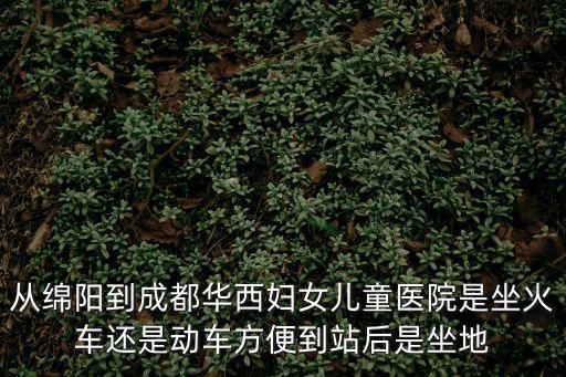 從綿陽(yáng)到成都華西婦女兒童醫(yī)院是坐火車還是動(dòng)車方便到站后是坐地
