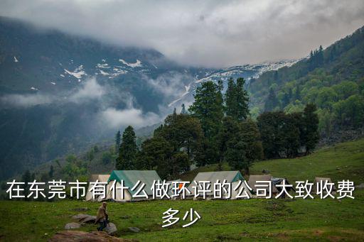 東莞長安環評公司，東莞有哪幾家公司可以做環評要通過率高信譽好的