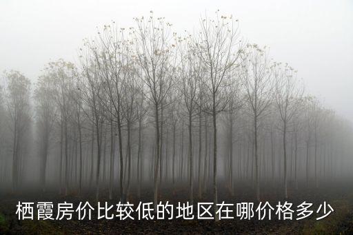 棲霞房價比較低的地區在哪價格多少