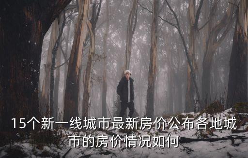 杭州和長沙房價哪個高些，15個新一線城市中杭州最高長沙最便宜為何會有這么大的差距百度知