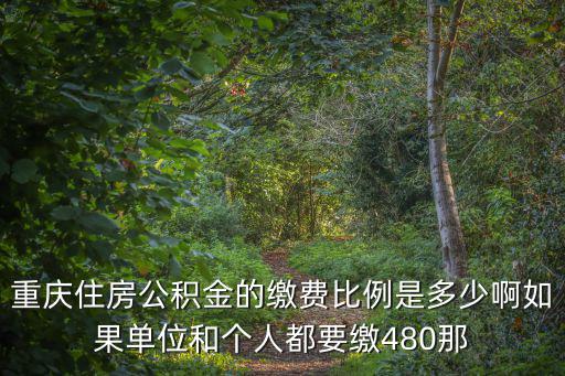 重慶市住房公積金一個月交多少錢，重慶住房公積金的繳費比例是多少啊如果單位和個人都要繳480那
