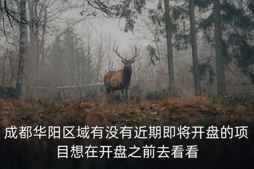 成都華陽區域有沒有近期即將開盤的項目想在開盤之前去看看