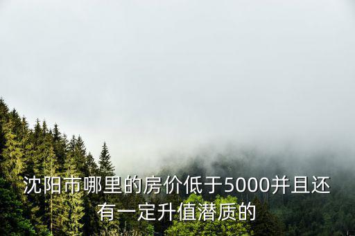 沈陽市哪里的房價低于5000并且還有一定升值潛質(zhì)的