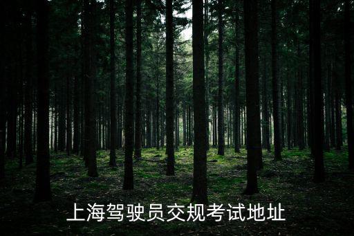 上海市機動車駕證培訓處，想知道上海市 上海申駕駛證在哪個地方 在哪