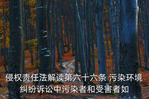 侵權責任法解讀第六十六條 污染環境糾紛訴訟中污染者和受害者如