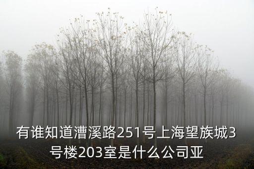 有誰(shuí)知道漕溪路251號(hào)上海望族城3號(hào)樓203室是什么公司亞