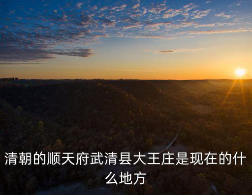 清朝的順天府武清縣大王莊是現在的什么地方