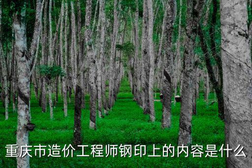 重慶市建委 張其悅，重慶市造價工程師鋼印上的內容是什么