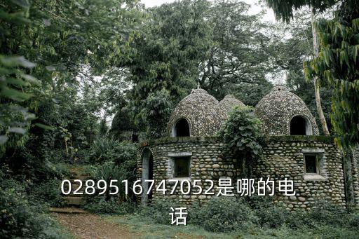 0289516747052是哪的電話