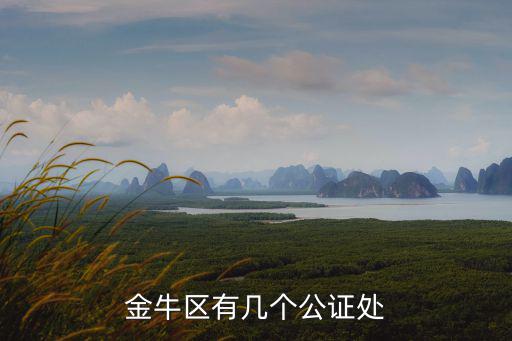 金牛區(qū)有幾個公證處