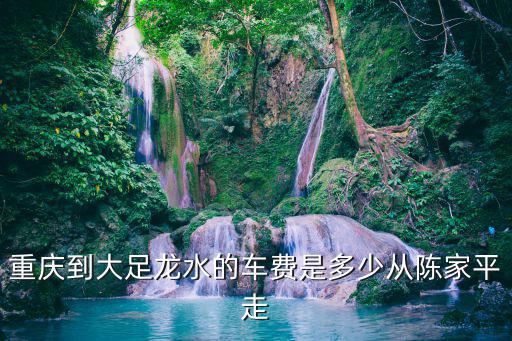 重慶到大足龍水的車費是多少從陳家平走