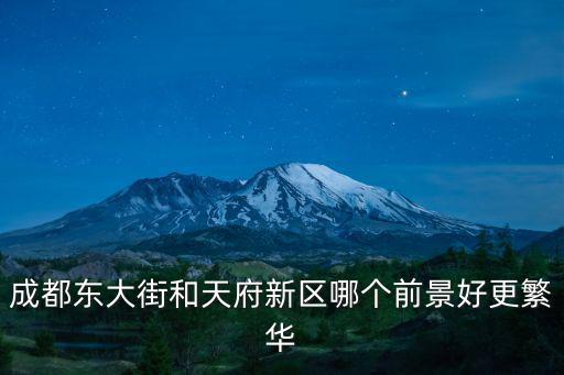成都東大街和天府新區哪個前景好更繁華