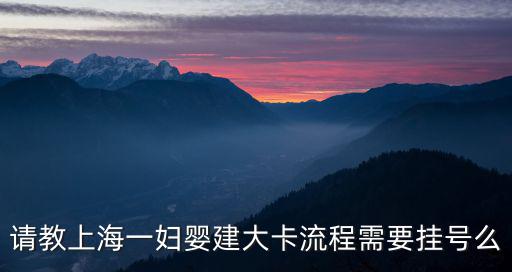 請教上海一婦嬰建大卡流程需要掛號么