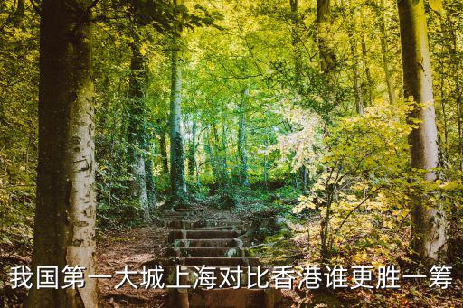 2017上海市gdp是多少錢，上海和深圳哪個城市的人均GDP高哪個城市發展得更好