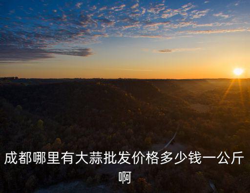 成都哪里有大蒜批發(fā)價(jià)格多少錢一公斤啊