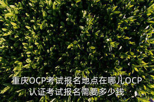 重慶市信息技術認證中心，問 30 重慶萬州信息技術職業學院歸不歸重慶市教委管憑什么一