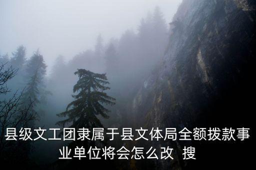 成都市文藝事業(yè)單位改革方案，聽說事業(yè)單位改制是要改成什么樣怎么改有沒有具體的計劃什么