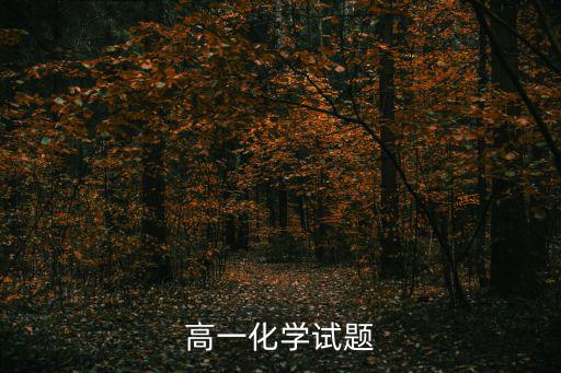 高一化學(xué)試題