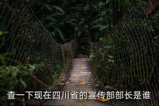 成都市宣傳部部長郝喜峰，黃新初 是