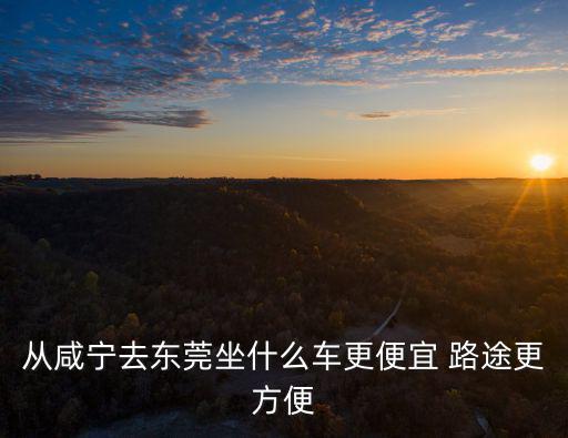 從咸寧去東莞坐什么車更便宜 路途更方便
