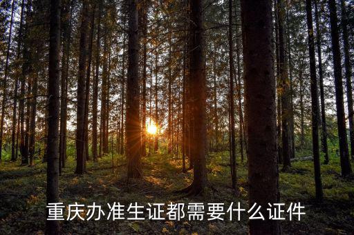 重慶辦準生證都需要什么證件
