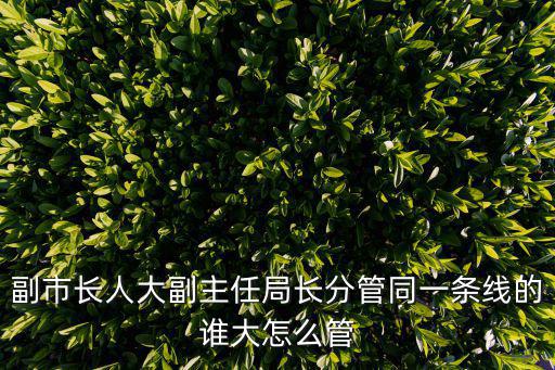 副市長人大副主任局長分管同一條線的誰大怎么管