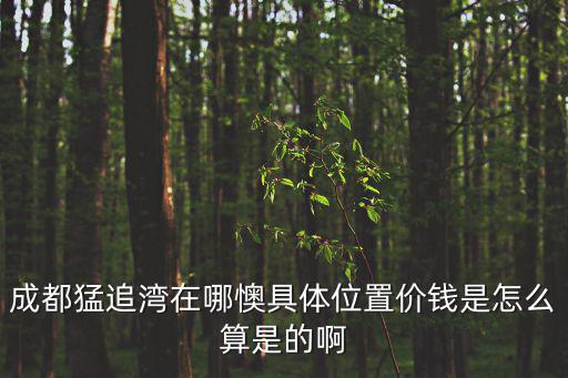 成都猛追灣在哪懊具體位置價錢是怎么算是的啊