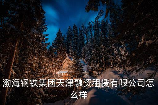 渤海鋼鐵集團天津融資租賃有限公司怎么樣