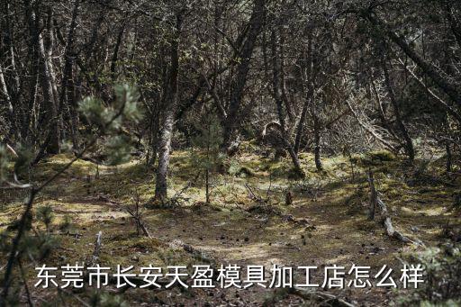 東莞市長安天盈模具加工店怎么樣